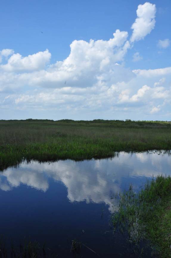 Paisagem típica do Parque Nacional Everglades, no sul da Flórida, nos Estados Unidos